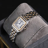 Cartier Panthere de Cartier Medium model W2PN0019