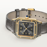 Cartier Santos Dumont Large model WGSA0097