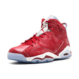 Air Jordan 6 Slam Dunk