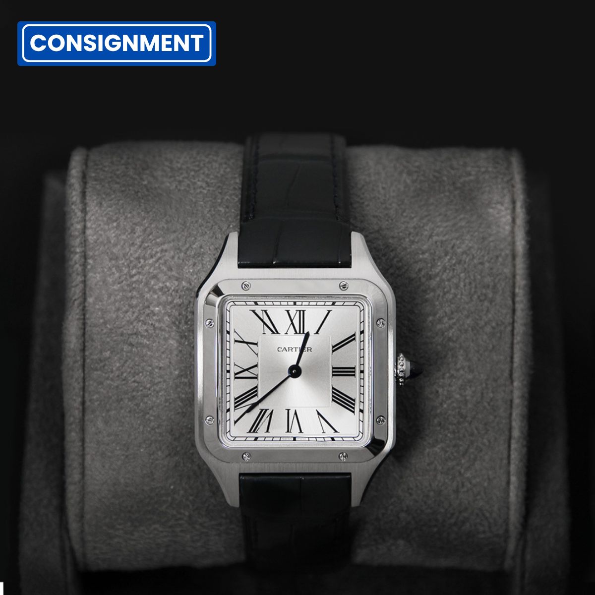 Cartier 43 Santos Dumont Large Silver Dial WSSA0085
