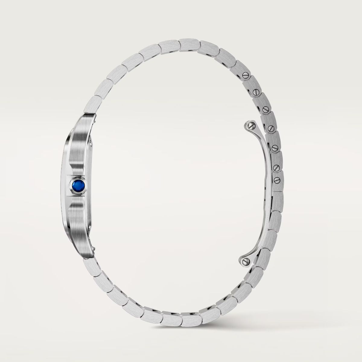 Cartier Santos Small Silver Sunray Steel Strap WSSA0082