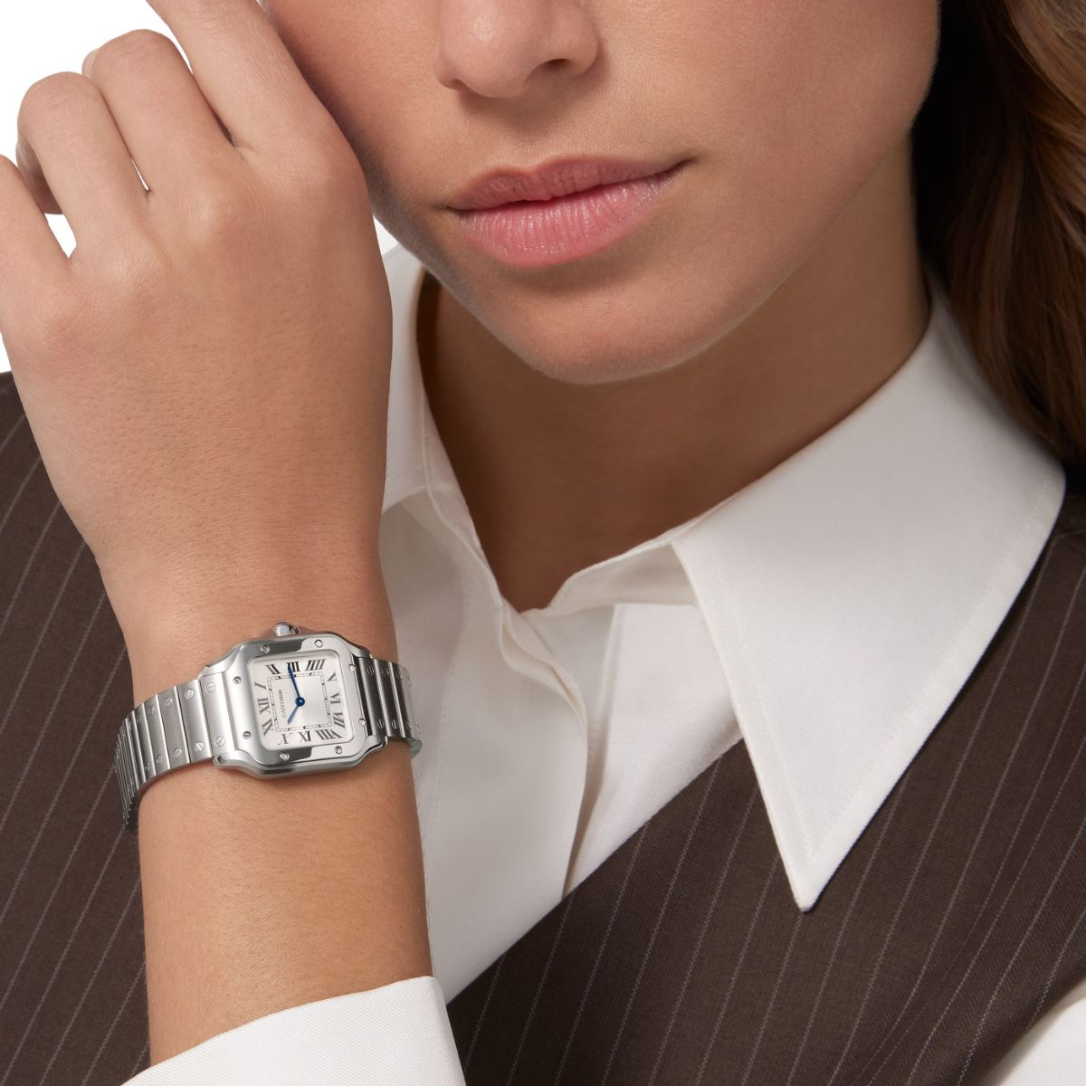 Cartier Santos Small Silver Sunray Steel Strap WSSA0082