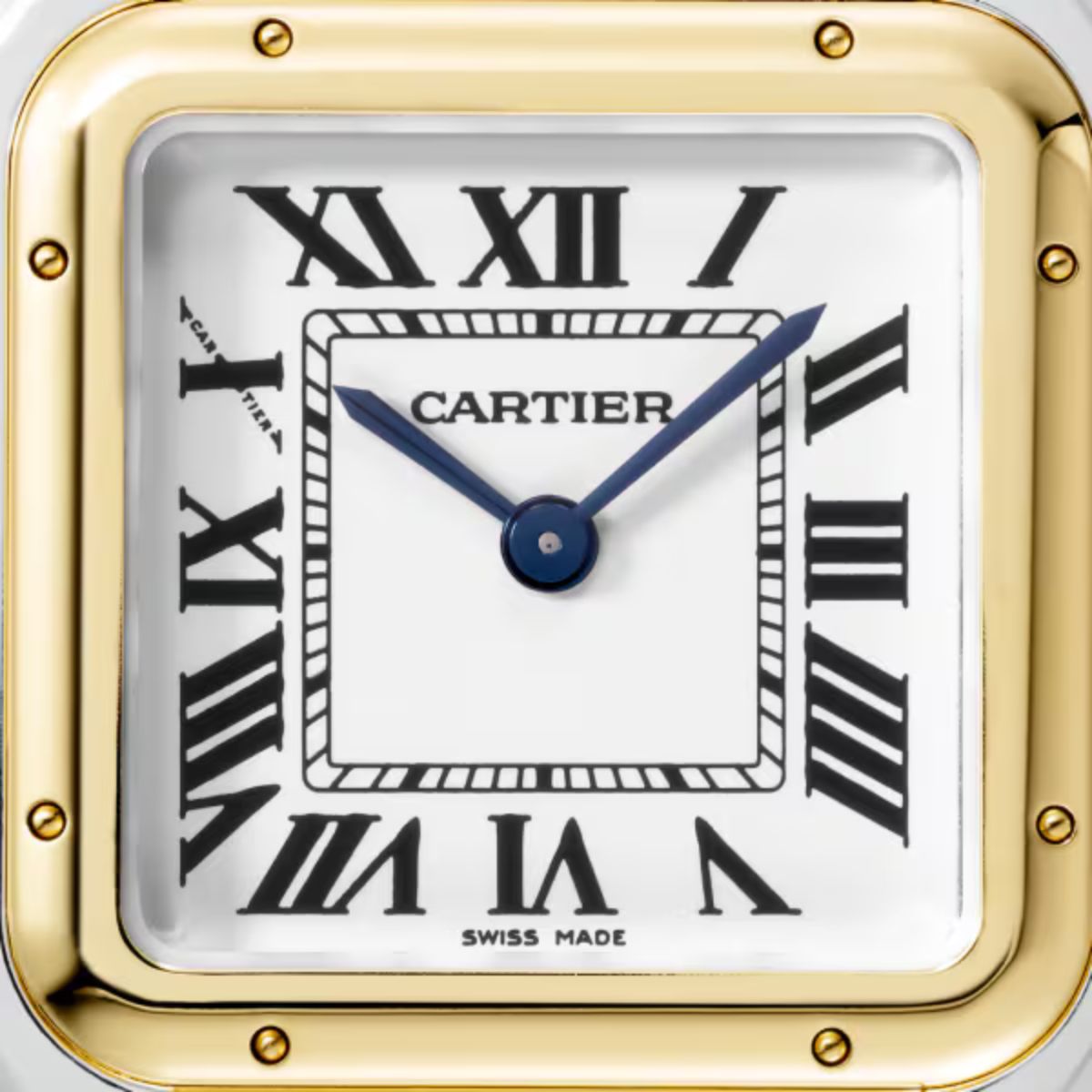 Cartier Panthere de Cartier Medium model W2PN0007