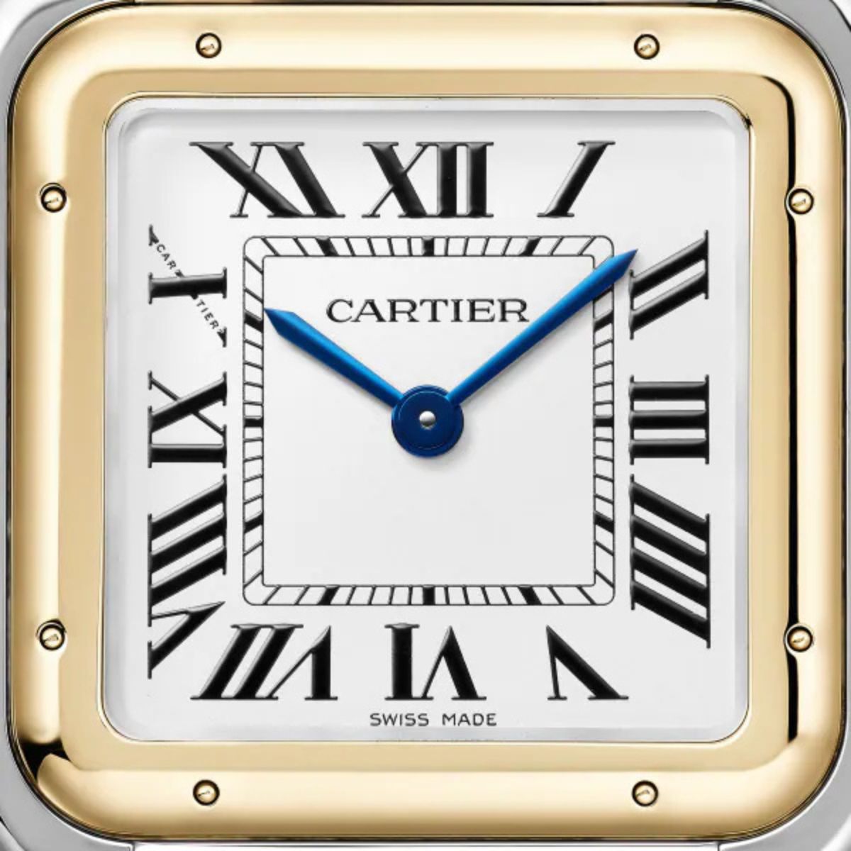 Cartier Panthere de Cartier Large model W2PN0012