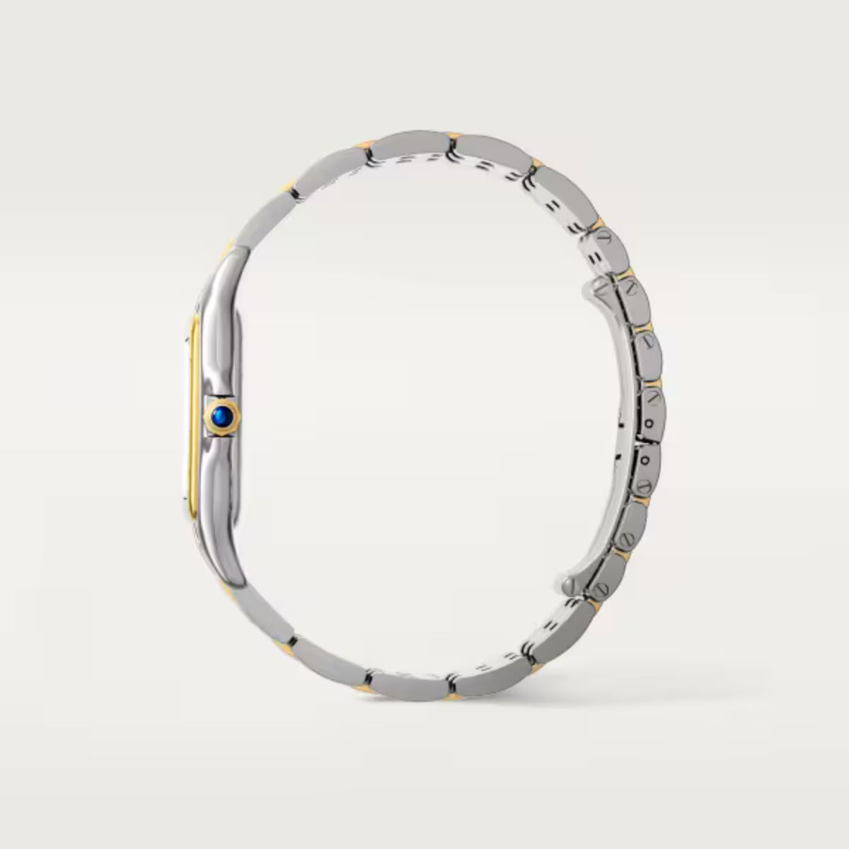 Cartier Panthere de Cartier Large model W2PN0012