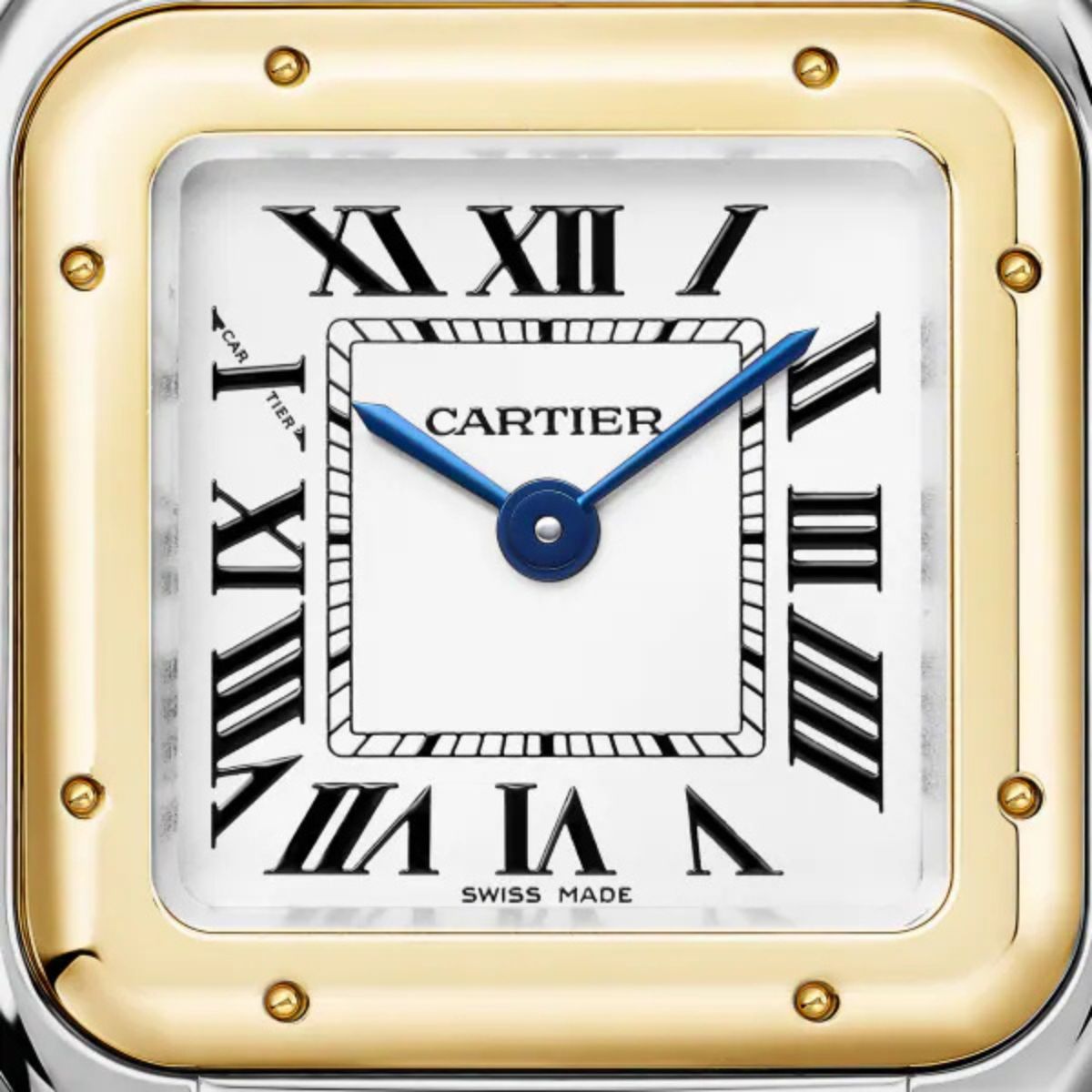Cartier Panthere de Cartier Small model W2PN0018