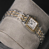 Cartier Panthere de Cartier Small model W2PN0018