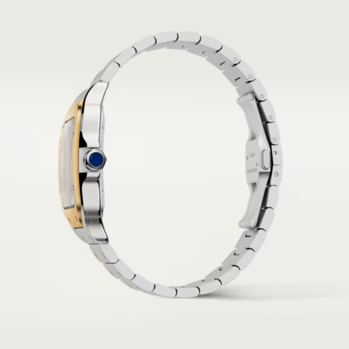 Cartier Santos de Cartier Large model W2SA0009