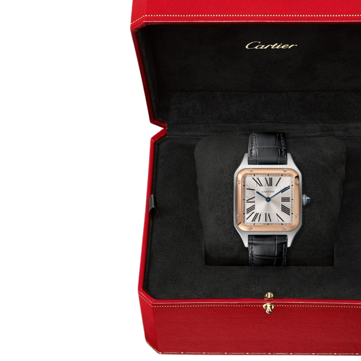 Cartier Santos Dumont Large RG Case Croco Strap W2SA0037