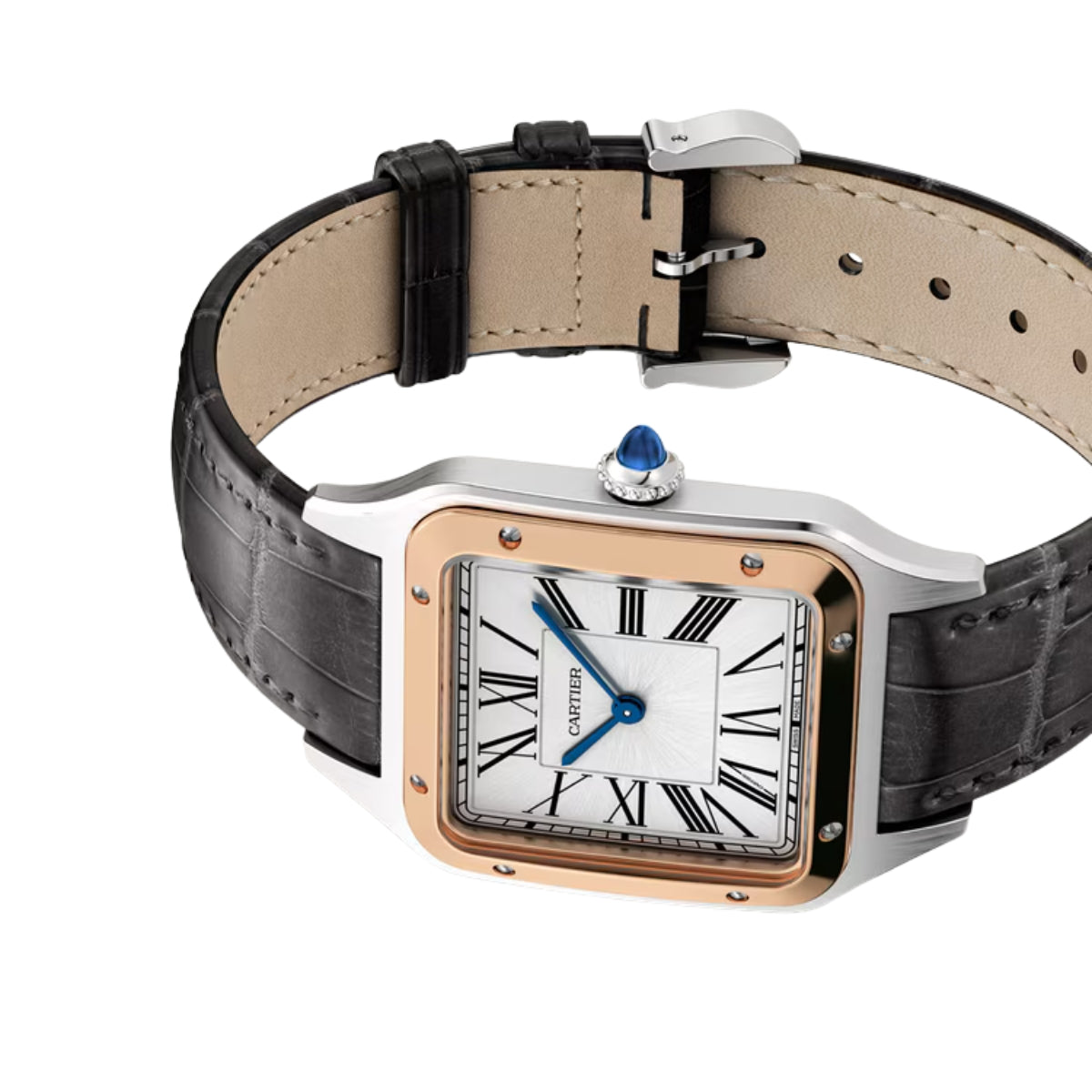 Cartier Santos Dumont Large RG Case Croco Strap W2SA0037