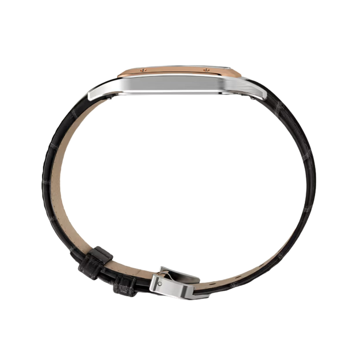 Cartier Santos Dumont Large RG Case Croco Strap W2SA0037