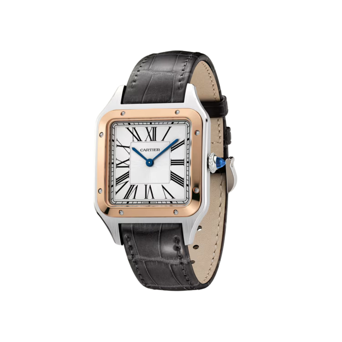 Cartier Santos Dumont Large RG Case Croco Strap W2SA0037
