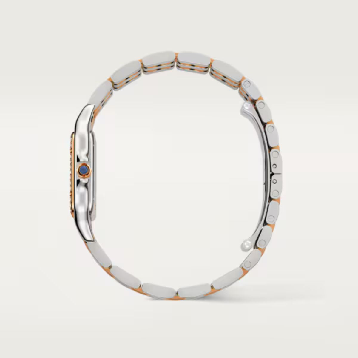 Cartier Panthere de Cartier Medium model W3PN0007