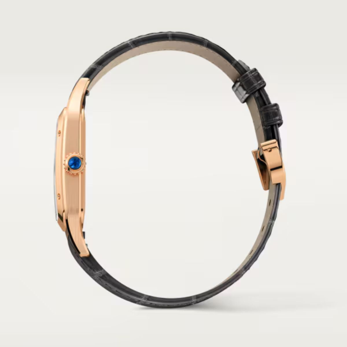 Cartier Santos Dumont Large model WGSA0021