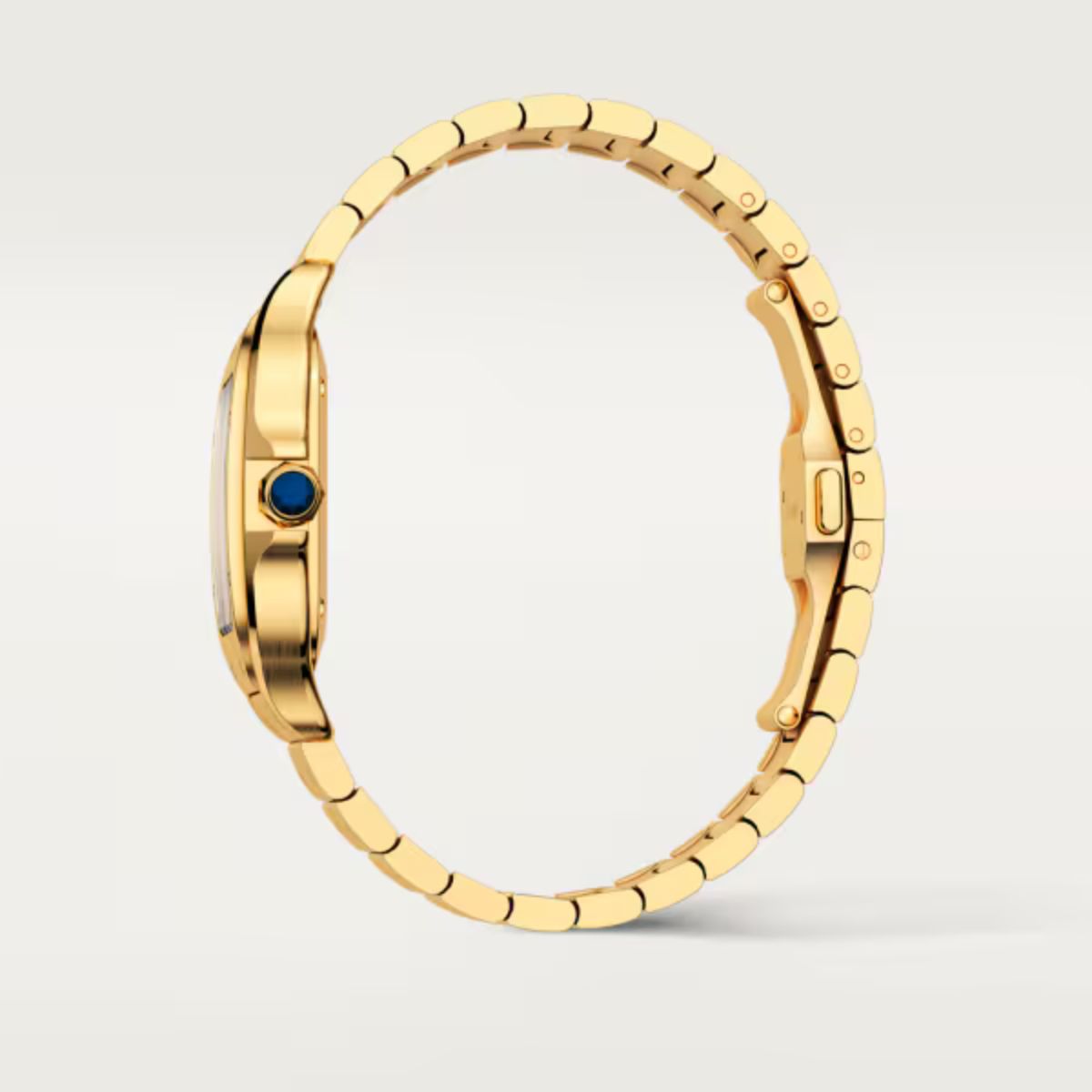 Cartier Santos de Cartier Medium model WGSA0030