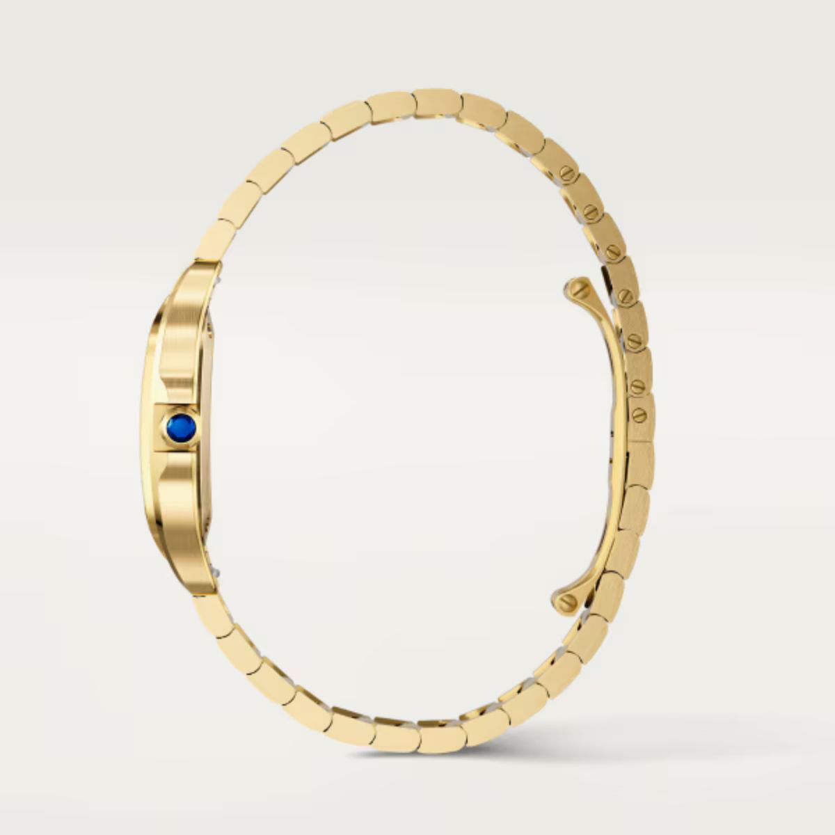 Cartier Santos de Cartier Small model WGSA0107