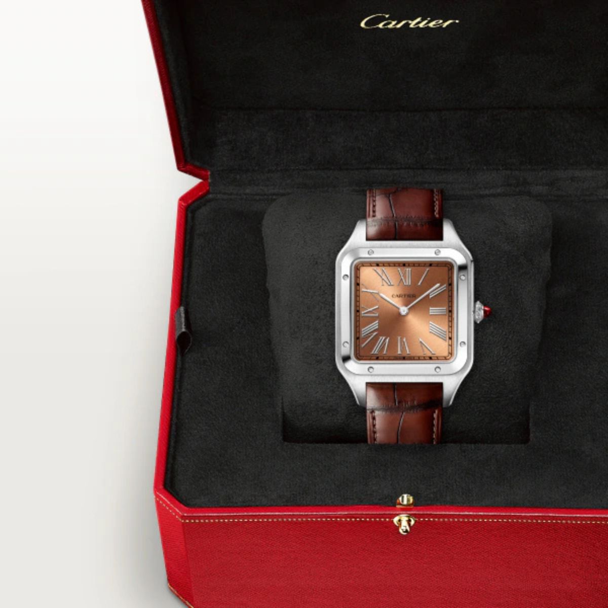 Cartier Santos Dumont Extra Large Model WGSA0113