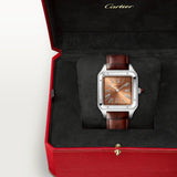 Cartier Santos Dumont Extra Large Model WGSA0113