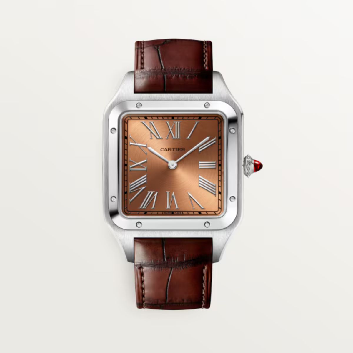 Cartier Santos Dumont Extra Large Model WGSA0113
