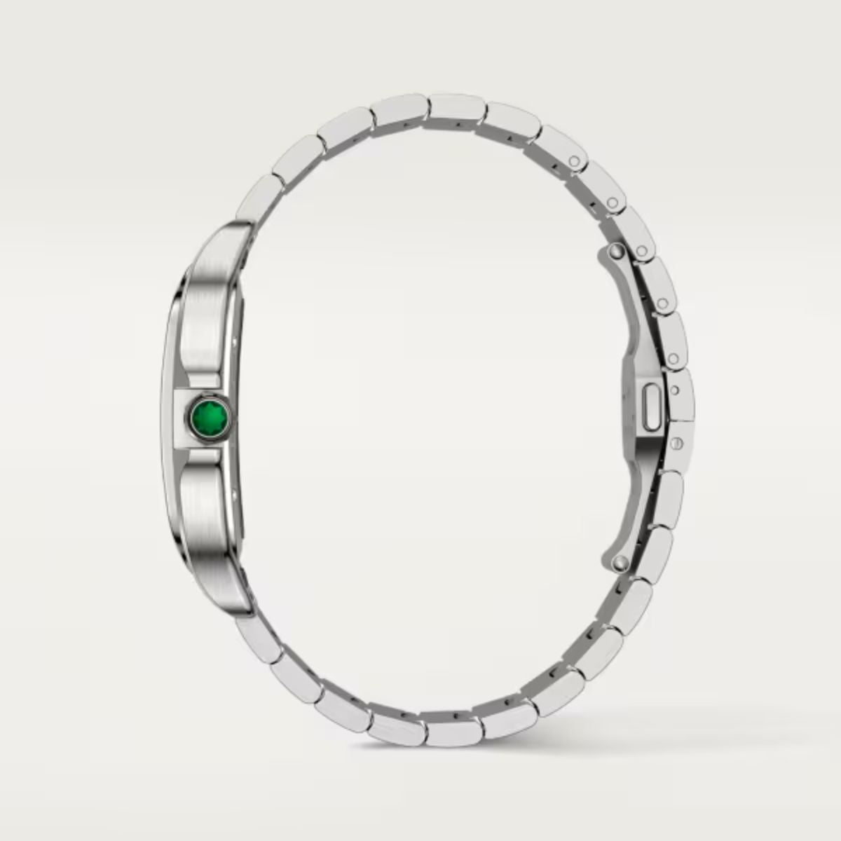 Cartier Santos de Cartier skeleton Large model WHSA0028