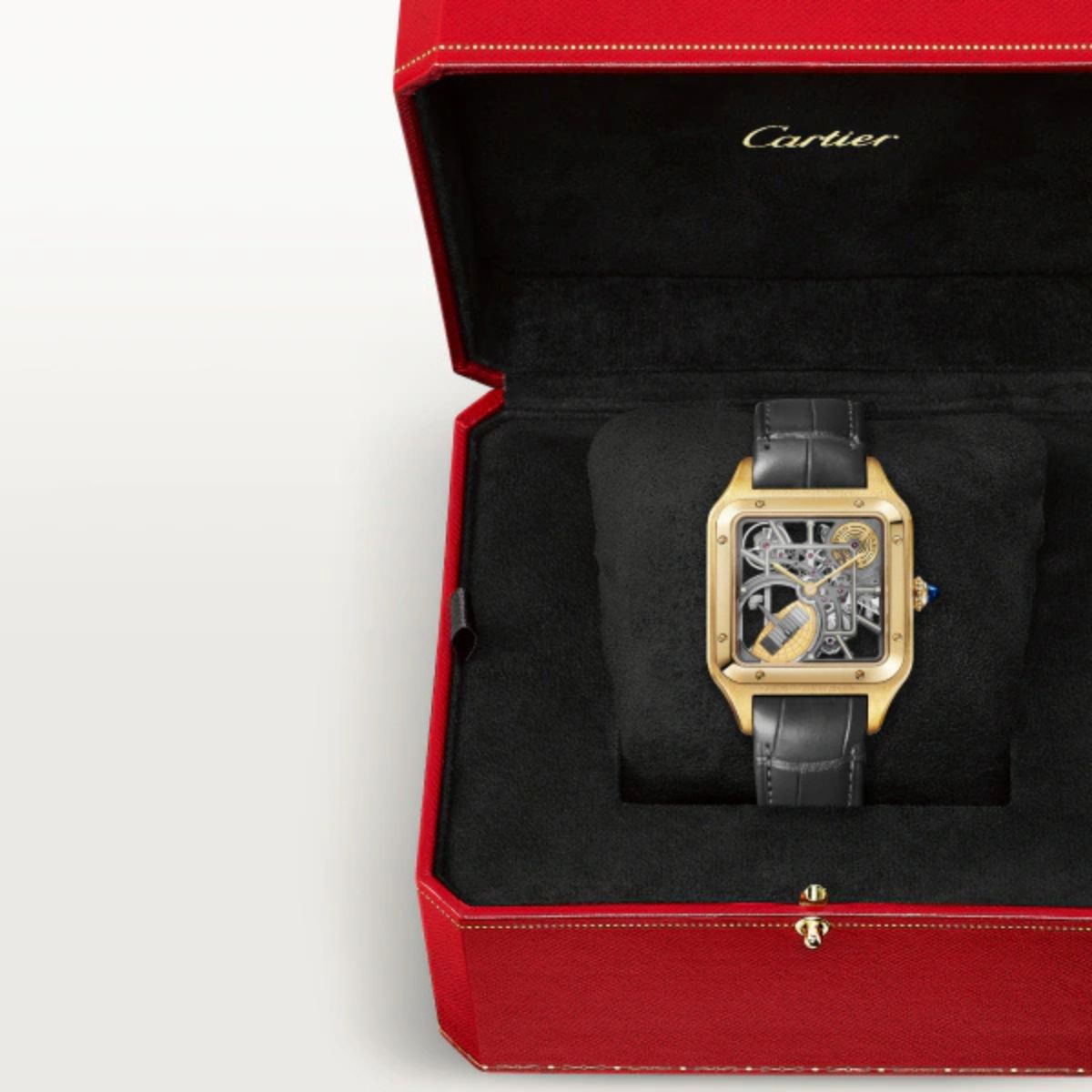 Cartier Santos Dumont Skeleton Equipped With A Micro Rotor Large Model WHSA0043