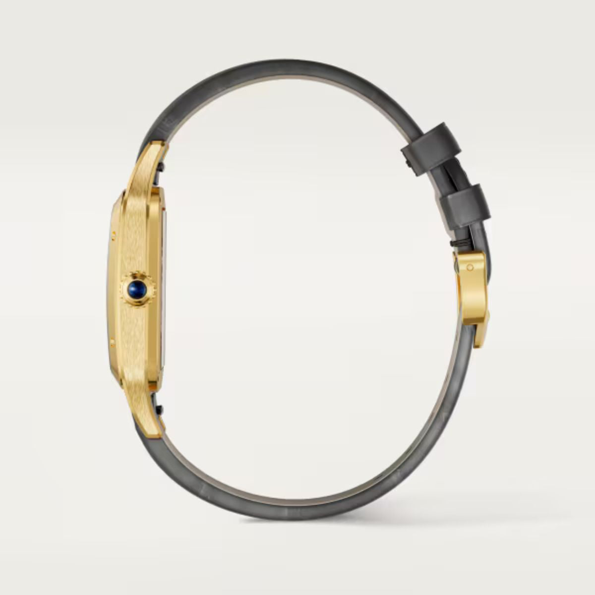 Cartier Santos Dumont Skeleton Equipped With A Micro Rotor Large Model WHSA0043