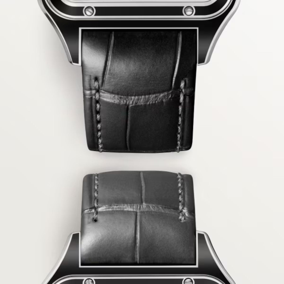 Cartier Santos Dumont Skeleton Equipped With A Micro Rotor Large Model WHSA0044