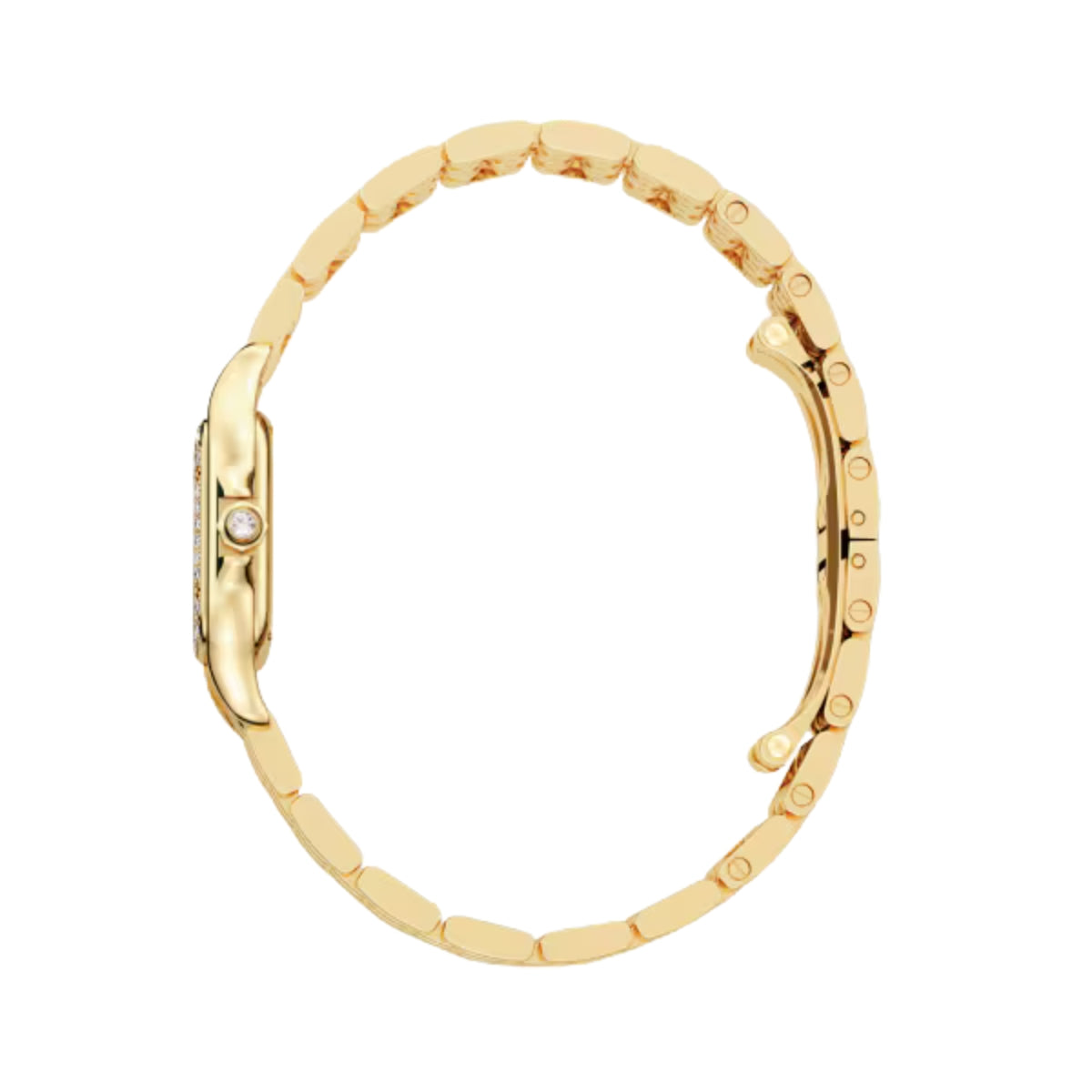 Cartier Panthere De Cartier Small Yellow Gold Diamonds WJPN0015
