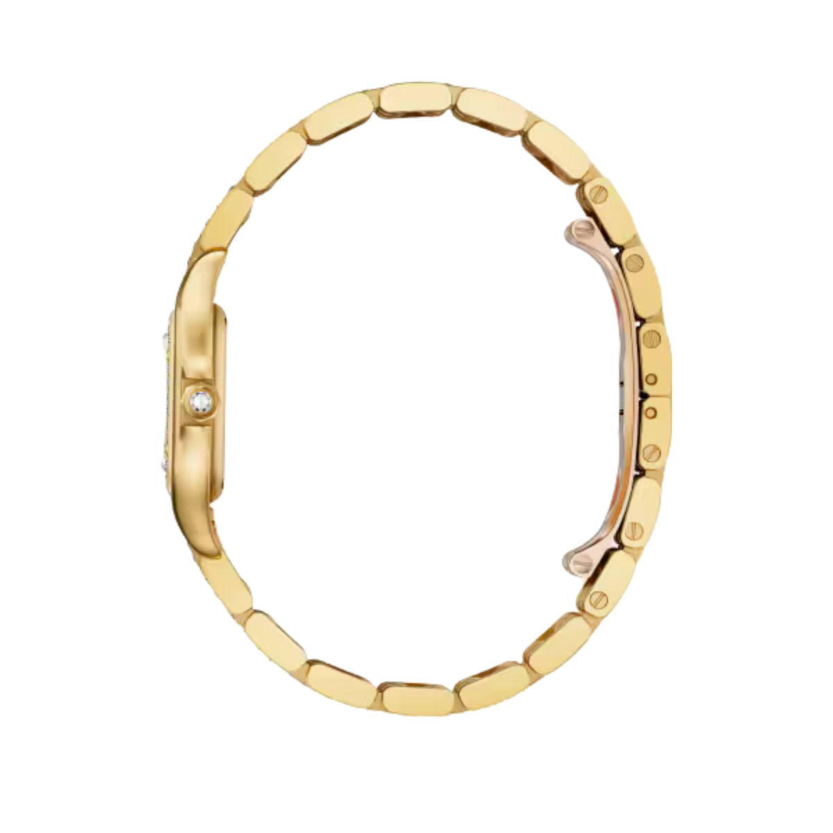 Cartier Panthere De Cartier Small Yellow Gold Diamonds WJPN0059