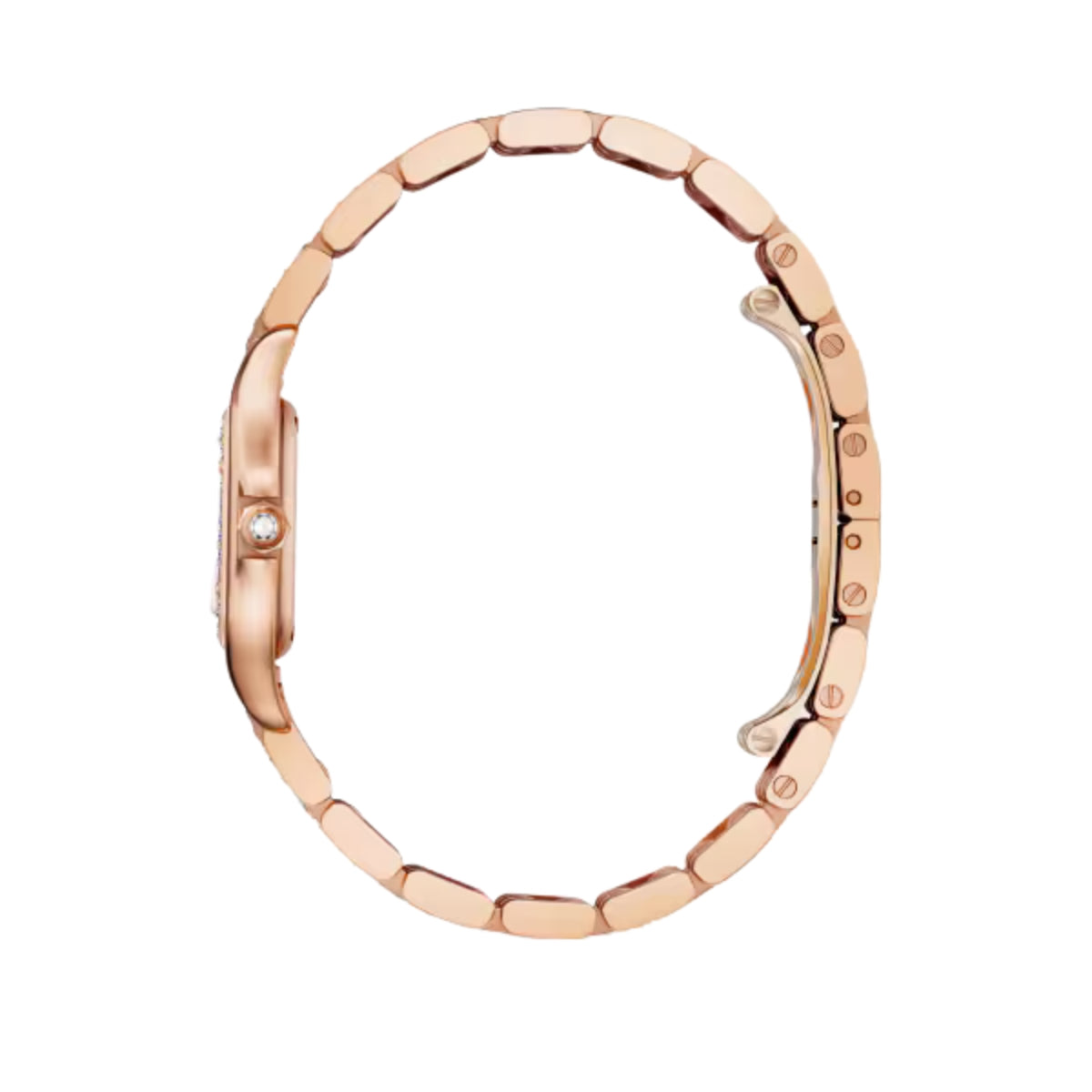 Cartier Panthere De Cartier Small Rose Gold Diamonds WJPN0061