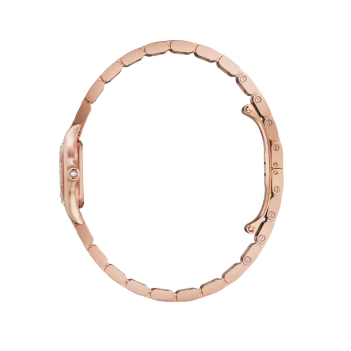 Cartier Panthere De Cartier Mini Rose Gold Diamonds WJPN0063