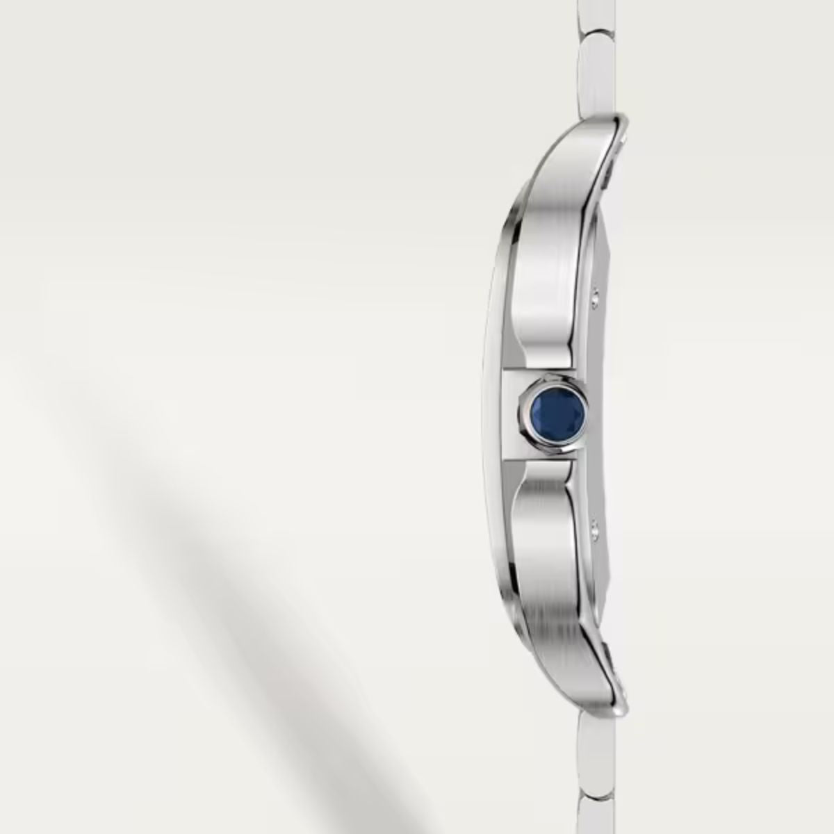 Cartier Santos de Cartier Large model WSSA0030