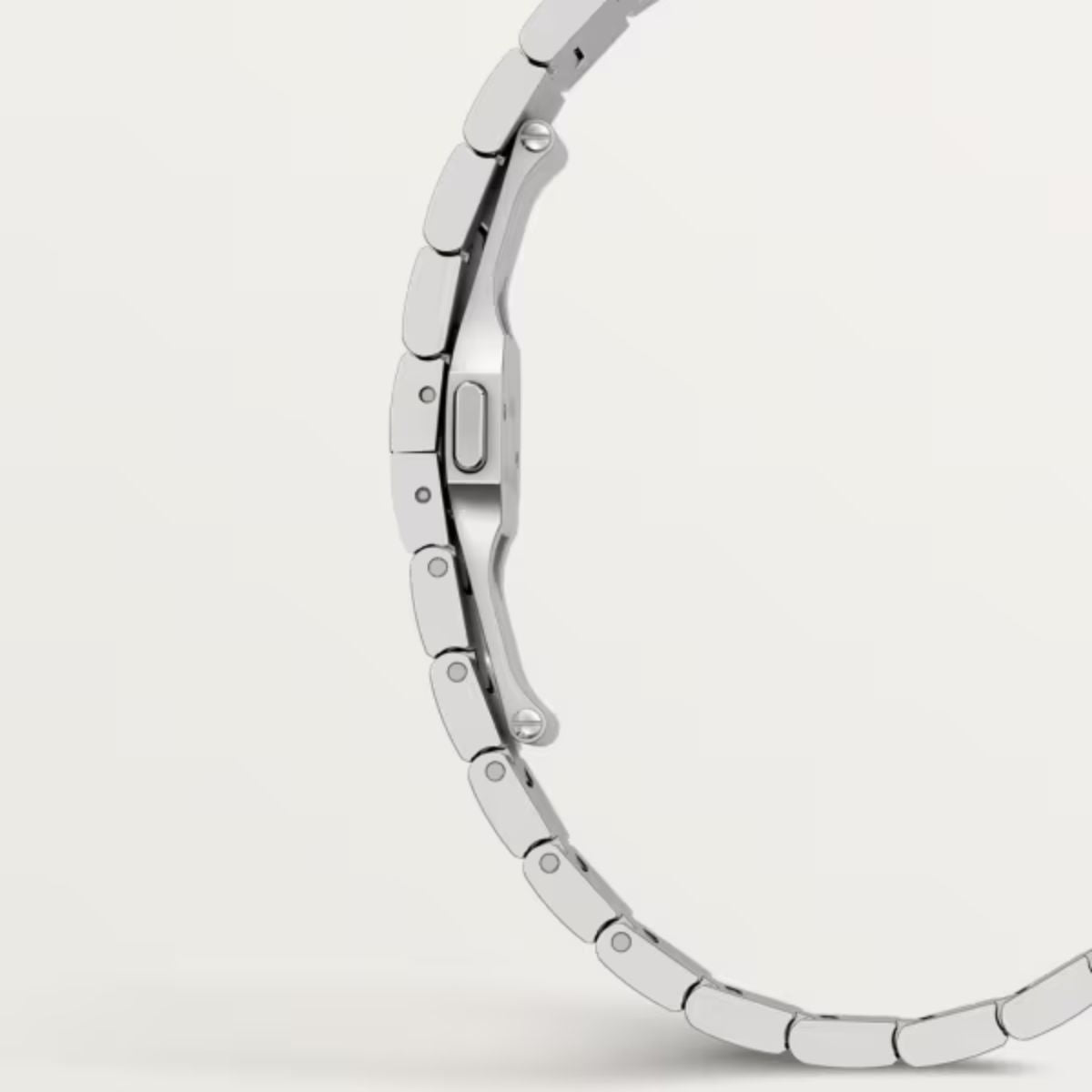 Cartier Santos de Cartier Large model WSSA0030