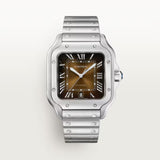 Cartier Santos de Cartier Large model WSSA0064