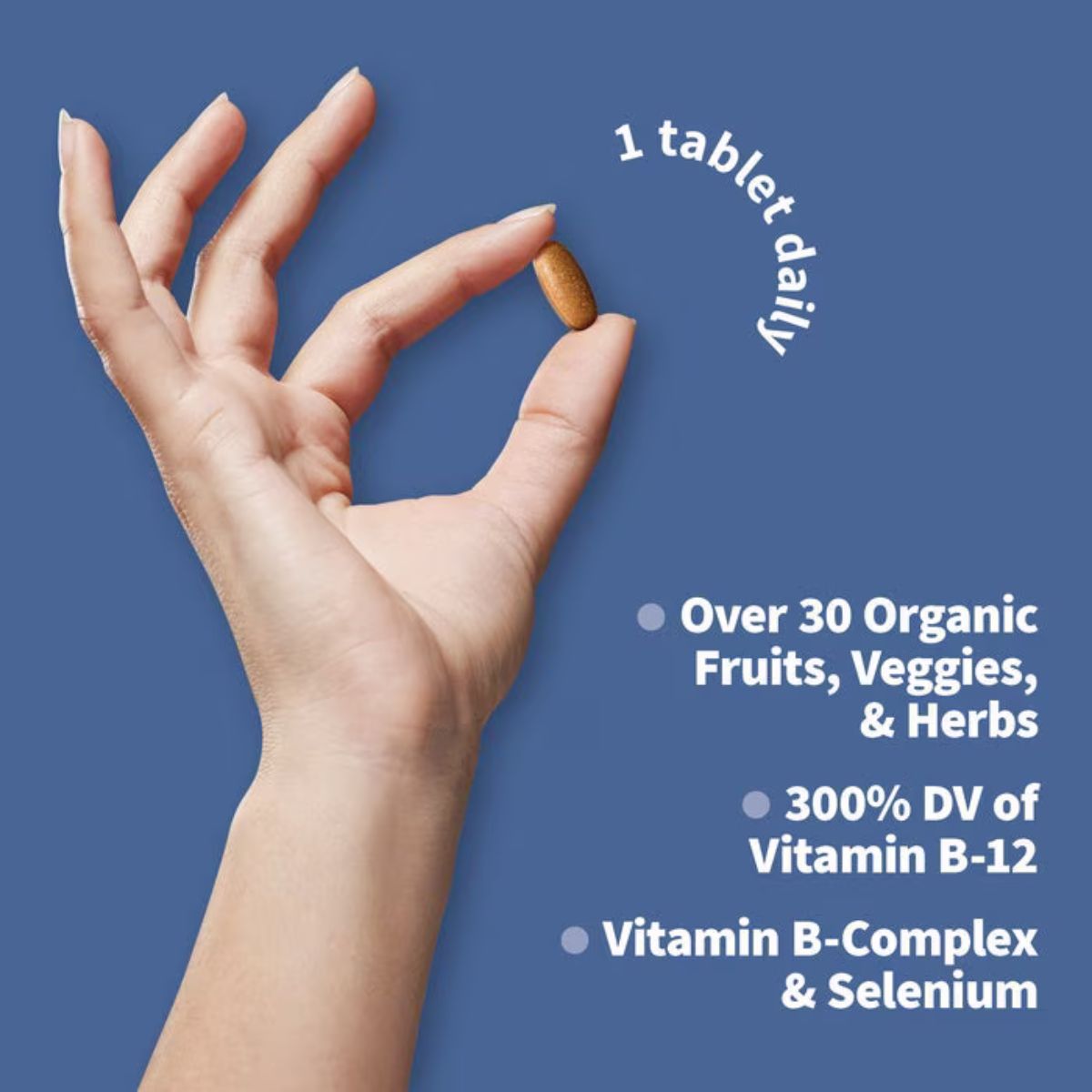 Garden Of Life Once Daily Whole Food Multivitamin For Men Stable 60 Tablets